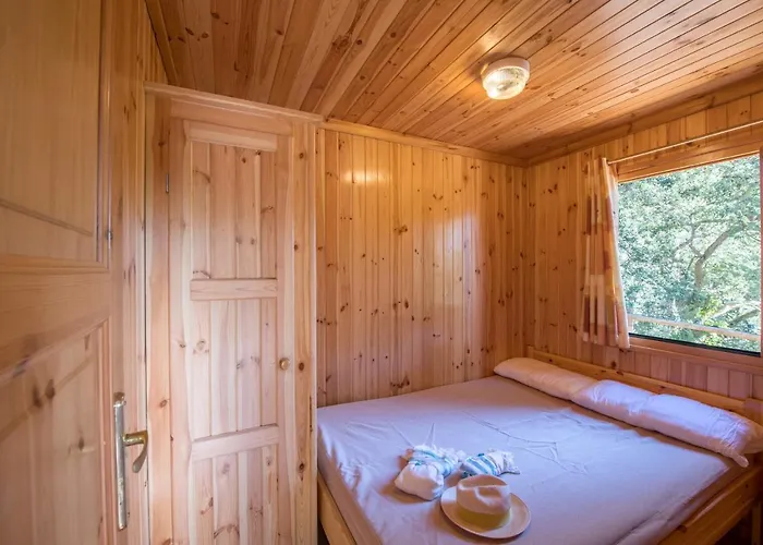 Kemp Cala Llevado Tossa de Mar