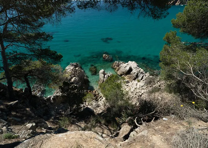 Cala Llevado Kemp 4*