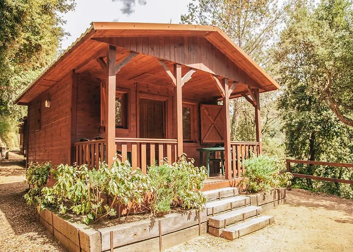 Kemp Cala Llevado Tossa de Mar